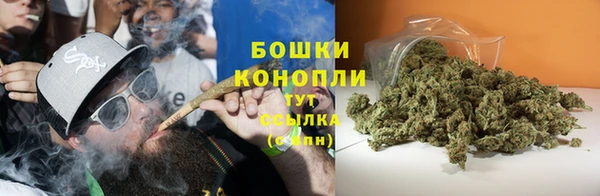 прущий лед Арсеньев