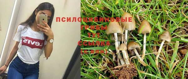 прущий лед Арсеньев