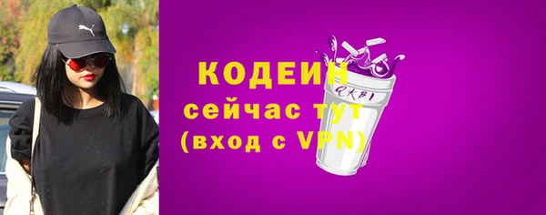 ГАЛЛЮЦИНОГЕННЫЕ ГРИБЫ Пестово