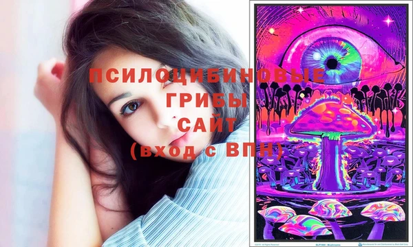 прущий лед Арсеньев