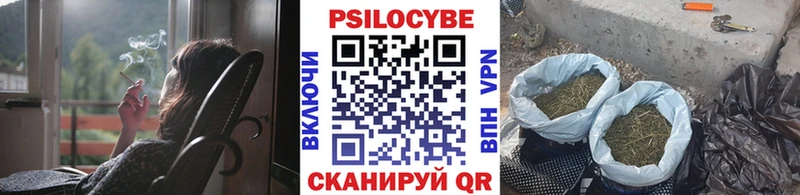закладки  Сердобск  Псилоцибиновые грибы мухоморы 